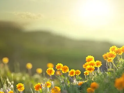 The World Of Wonder: Bedtime Tale