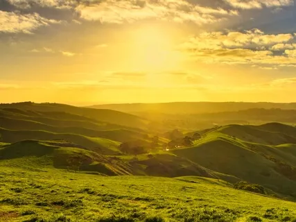 The World Would Be Better If...