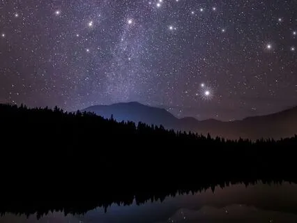 The Worm's Waking | Rumi Poem