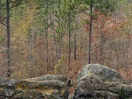 The Y And Why: When You're At A Crossroads