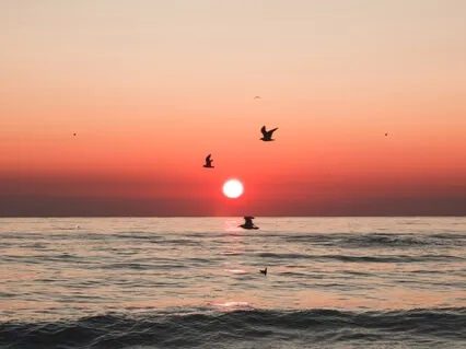 The Year That Was 2020