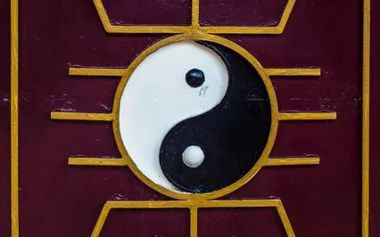 The Yin & The Yang