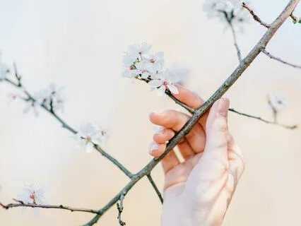 The Yin And Yang Of Love