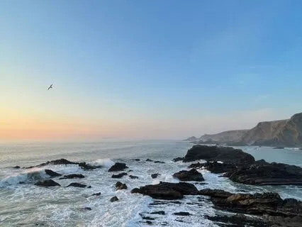 The Yoga Nidra Nest: Resting In Comfort And Belonging