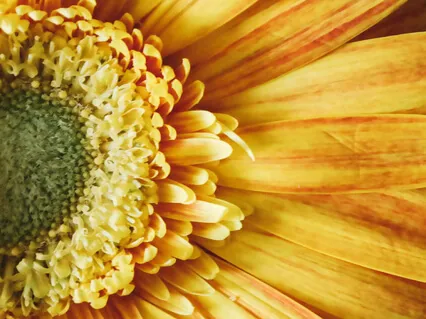  The Yoga Sutras Of Patanjali 2.13-20