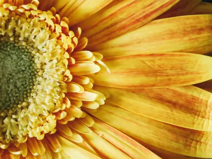 The Yoga Sutras Of Patanjali 40-51