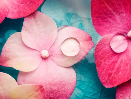 The Zoom Sessions: Monday Night Meditation Group From Thornbury