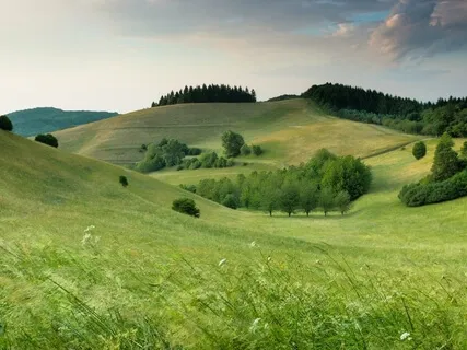 The Zoom Sessions No 12: Saturday Meditation Drop In 13th June 2020