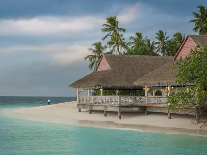 The Zoom Sessions No 2: Saturday Meditation Drop In