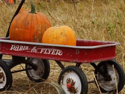 Theme In Yellow By Carl Sandburg