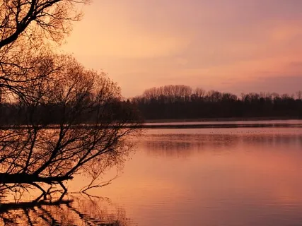 Themed Meditation... To Feel At Ease