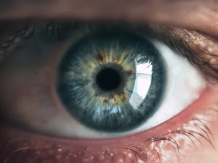 Theories Of Consciousness