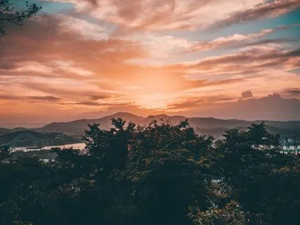 Therapeutic Acoustic Guitar: Cozy Sounds (4 Minutes)