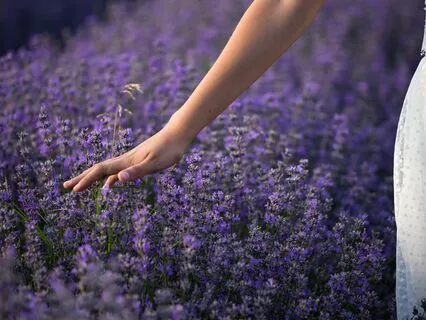 There Are No Late Bloomers, We Are Timeless Blossoms