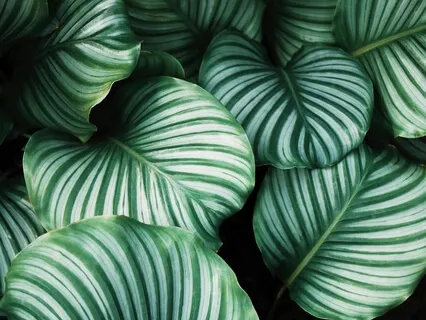 There Are No Mistakes, Only Growth