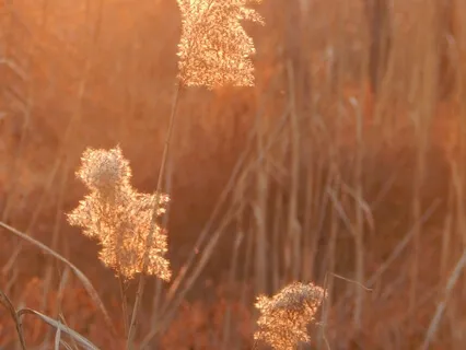 There Are No Ordinary Moments - Every Moment Matters