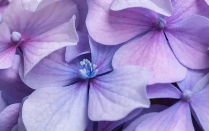 There Are No Small Things