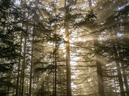 There Are Signs Everywhere!