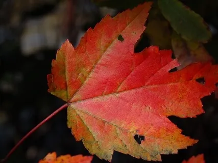 Dealing With This Age Of Transition