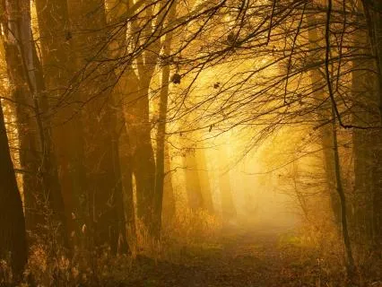 There Is a Light | Awakening the Spirit