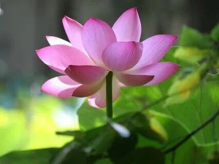 There Is A Spiritual Solution