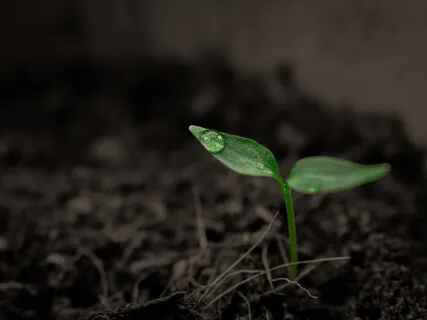 There Is Life Beyond Bereavement With Annah Elizabeth