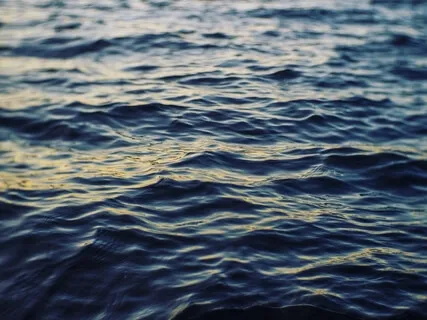 There Is Nothing To Practice 