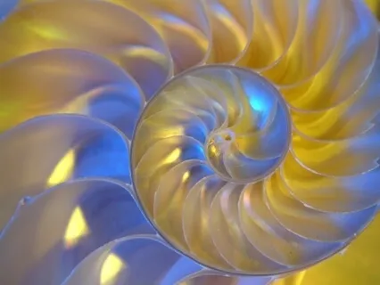 There Is Nothing Wrong With You