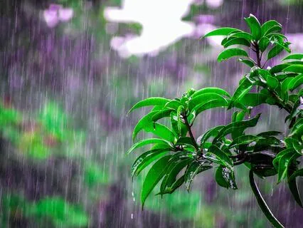 There's Inspiration In The Morning Rain