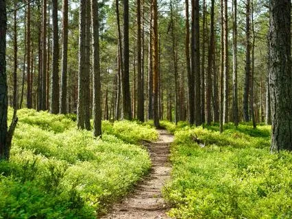 There's No Chasing; Only Alignment