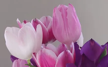 There's A Crack In Everything