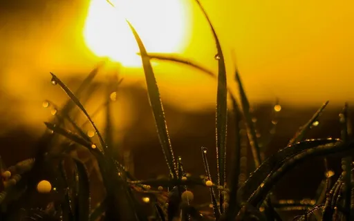 There's Magic In The Morning Rain