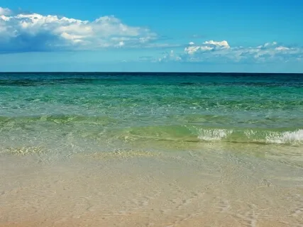 There's Room For Everything