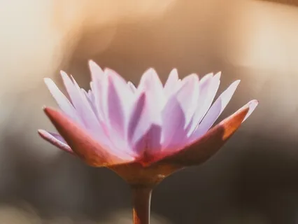 These Are The Thoughts I'm Having