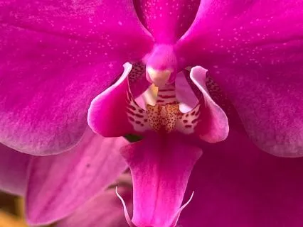 These Glimpses Of Eternity