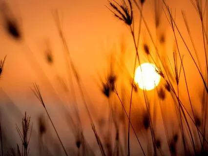 Theta + 528hz Miracle Frequency For Unconditional Love