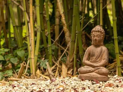 Theta-Alpha Wave Blueprint | Daily Cortisol Release Protocol