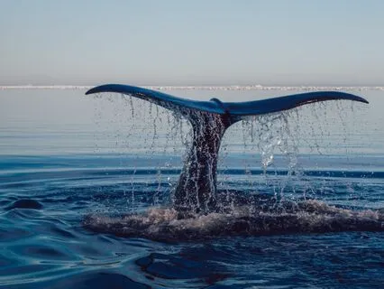 Theta Binaural Beat Music With Reiki For Deep Meditation