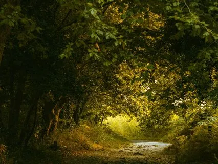 Theta Binaural Beats & Isochronic Tones (Heal Self Sabotage)