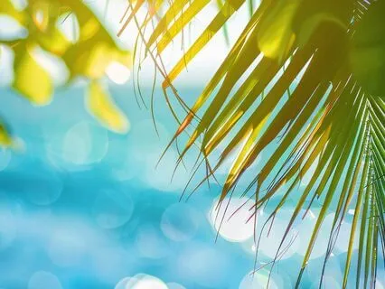 Theta Bliss: 2.5 Hz Waves For Deep Sleep