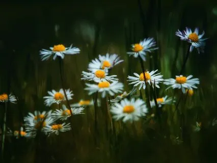 Theta Bliss: Meditation Music With 6 Hz Binaural Beats