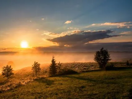 Theta Brain Wave | Binaural Beat Relaxation | 15 Minutes