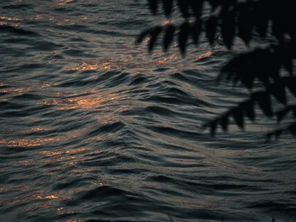 Theta Brainwave System | 40''