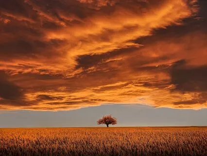 Theta Dreaming - Music For Life