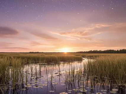 Theta Gateway To Inner Vision 4.4hz Binaural Beats