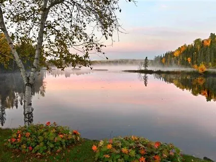 Theta Harmony At 7 Hertz: A Rich Tapestry Of Tranquility