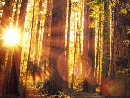 Theta Healing For Health