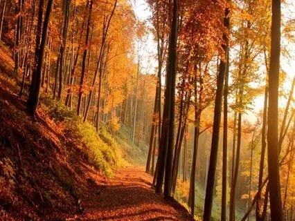 Theta Healing Meditation For Clarity