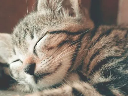 Theta Healing Meditation For Sleep