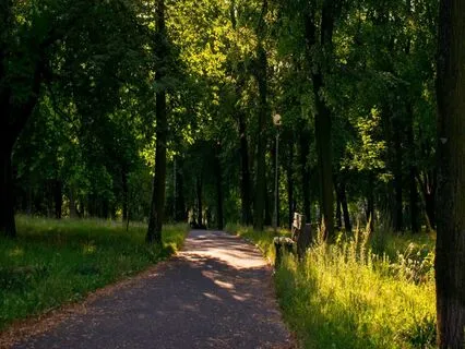 Theta Healing Meditation To Connect With Unconditional Love